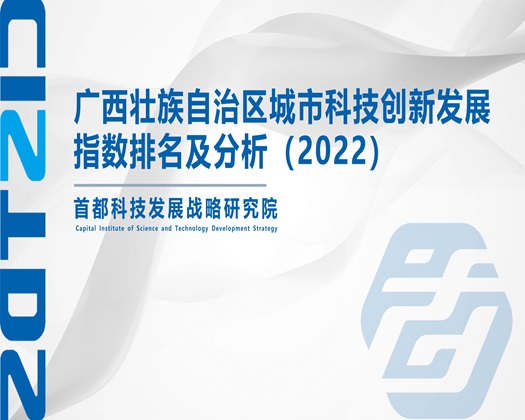 中国黄毛片子小视频日批【成果发布】广西壮族自治区城市科技创新发展指数排名及分析（2022）